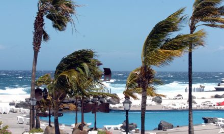 Viento fuerte en Santa Cruz: una mujer ha resultado herida tras ser golpeada por una rama