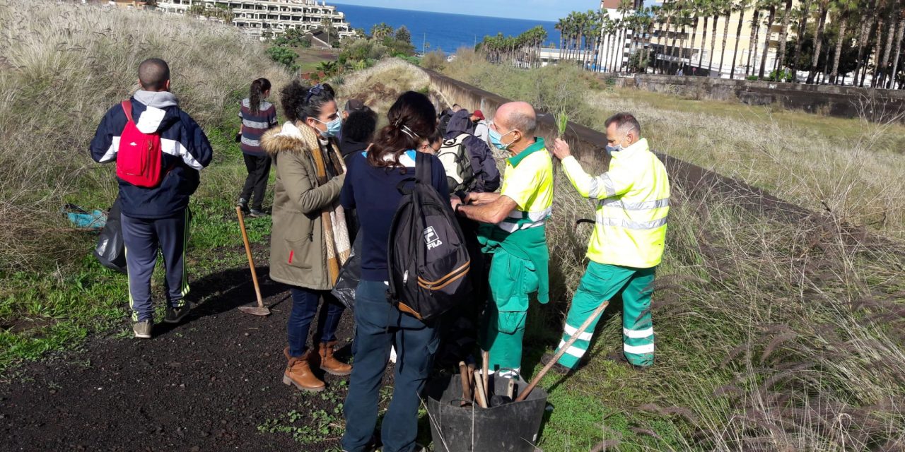 Puerto de la Cruz imparte un curso para el control de la flora exótica en el municipio  