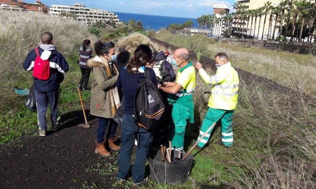 Puerto de la Cruz imparte un curso para el control de la flora exótica en el municipio  
