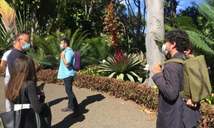 Los jardines portuenses vistos por la ciudadanía, protagonistas de un nuevo proyecto cultural 