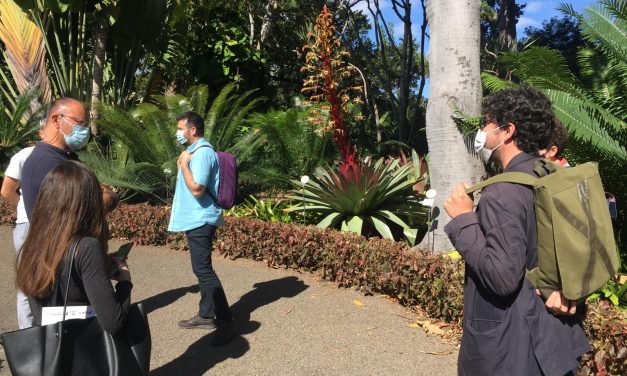 Los jardines portuenses vistos por la ciudadanía, protagonistas de un nuevo proyecto cultural 