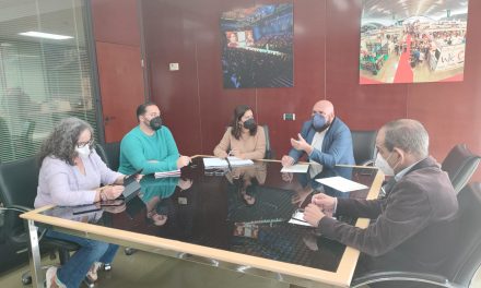 Puerto de la Cruz y Cabildo de Tenerife planifican acciones futuras en la ciudad 
