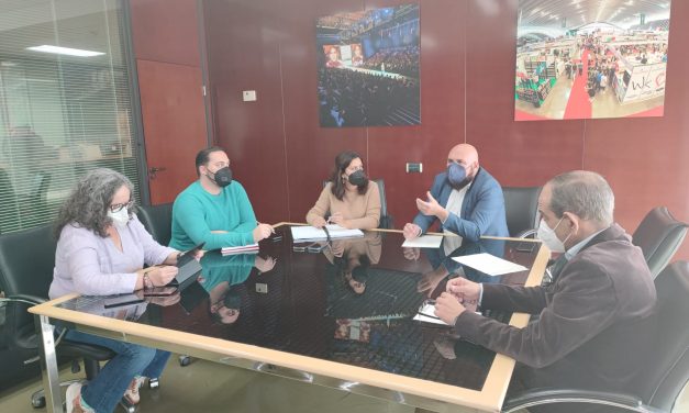 Puerto de la Cruz y Cabildo de Tenerife planifican acciones futuras en la ciudad 