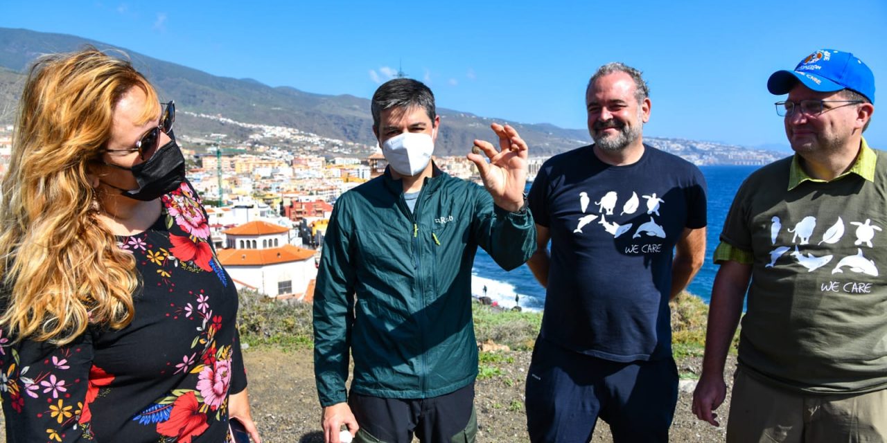 Candelaria inmersa en un proyecto para laconservación de las chuchangas, un endemismo local￼