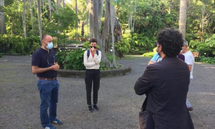 <strong>Puerto de la Cruz cartografía la botánica del municipio en un proceso&nbsp;</strong><strong>creativo y lúdico&nbsp;</strong><strong>compartido con la ciudadanía</strong>
