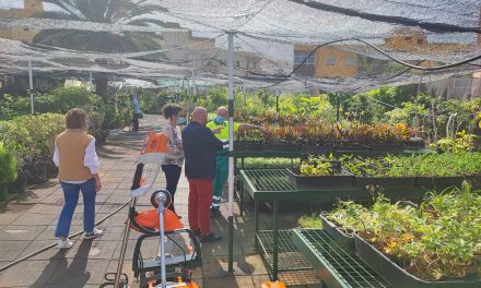 Puerto de la Cruz reverdece su vivero municipal renovando sus instalaciones 