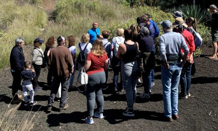 Vuelve la Escuela de Sostenibilidad municipal, con una primera sesión sobre Montaña La Horca   