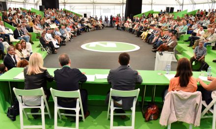 NC acuerda una ponencia política con vocación de aglutinar a las fuerzas canaristas del Archipiélago  
