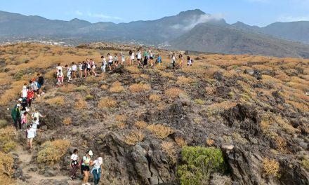 Los niños y niñas de Candelaria conectan con su patrimonio natural￼