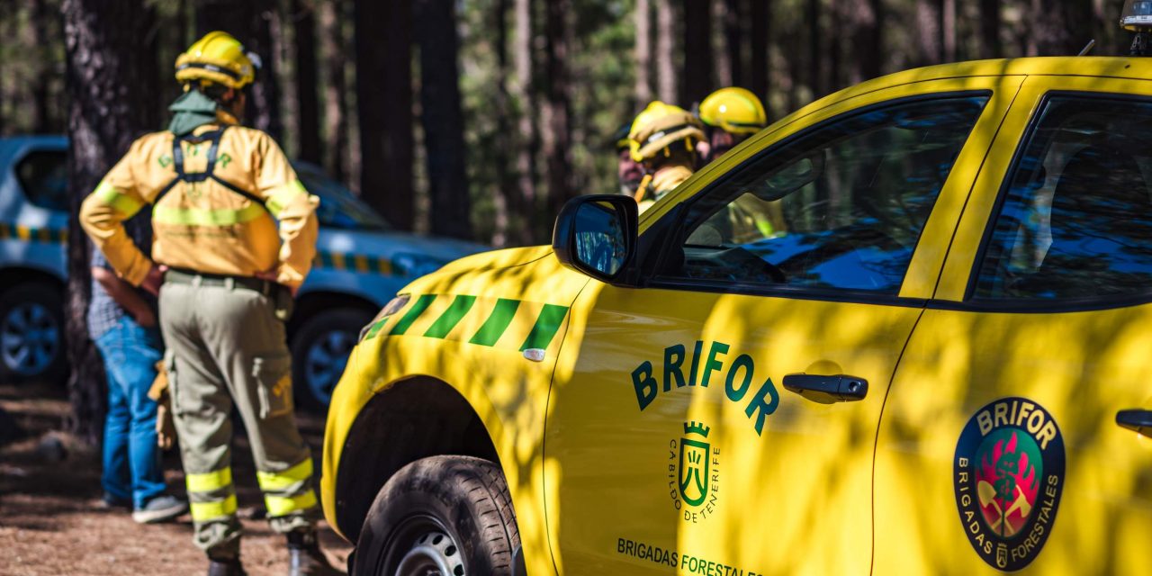 Tenerife refuerza la prevención de incendios forestales con apoyo municipal.