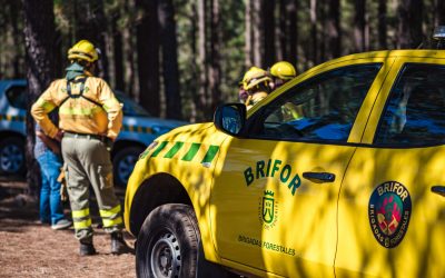 Tenerife refuerza la prevención de incendios forestales con apoyo municipal.