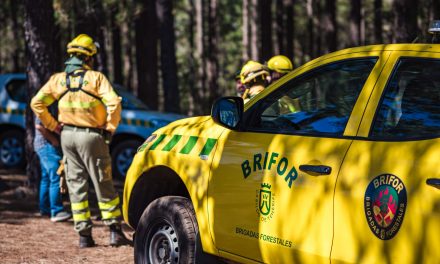 Tenerife refuerza la prevención de incendios forestales con apoyo municipal.