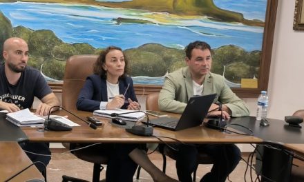 El Ayuntamiento de Arico contrata a Zurbarán Abogados para el asesoramiento en alegaciones a instalaciones eléctricas.