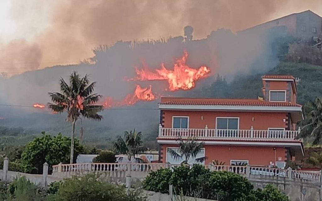 Nuevo Conato de Incendio en Tenerife Alerta a las Autoridades y Vecinos.