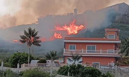 Nuevo Conato de Incendio en Tenerife Alerta a las Autoridades y Vecinos.