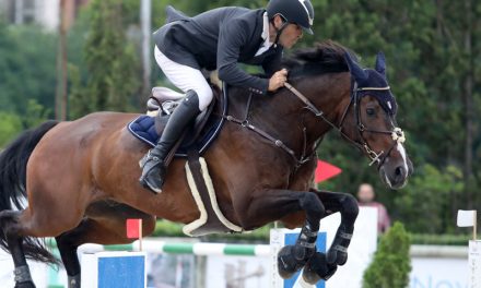 Gonzalo Cardona Torres se proclama campeón absoluto de Canarias tras lograr el oro en la XXIX edición del campeonato insular de salto de obstáculos.