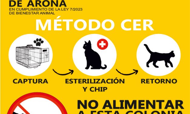 El Ayuntamiento de Arona avanza en su estudio sobre la colonia de gatos abandonados en el municipio.