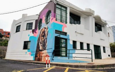 Media decena de excursiones para Juventud este bimestre.