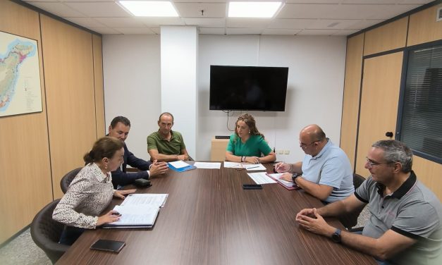 Arico y el Cabildo impulsan mejoras en la red de abastecimiento de agua.